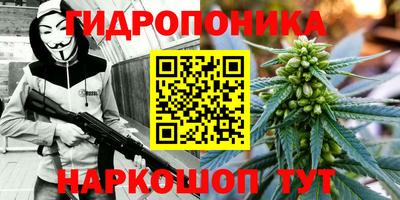 мяу мяу мука Новозыбков