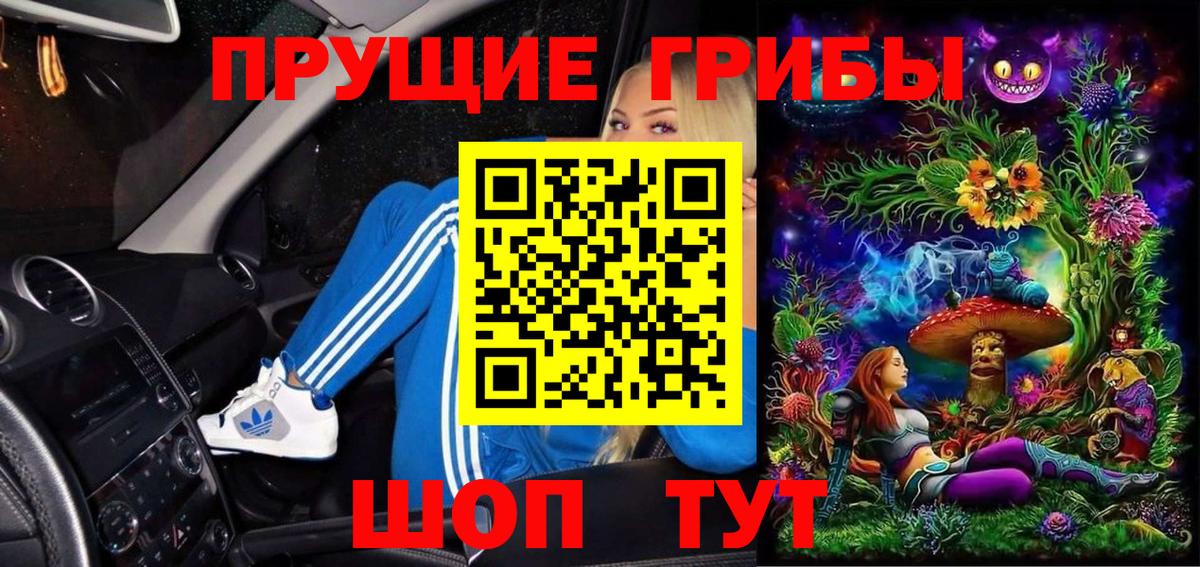 Саянск  Галлюциногенные грибы прущие грибы  Вход с VPN 