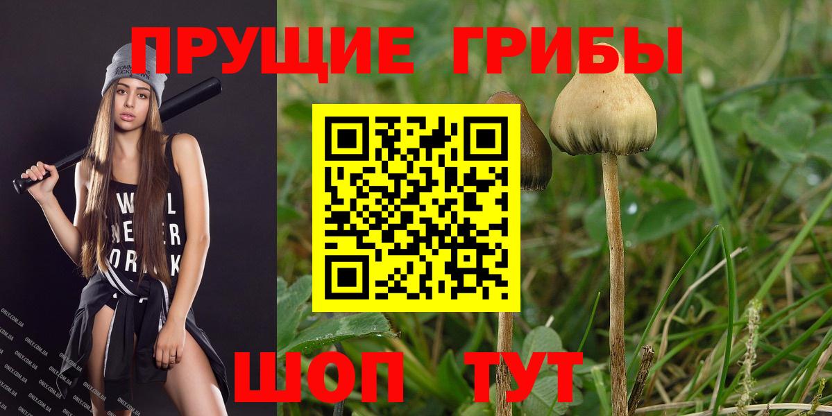 Галлюциногенные грибы GOLDEN TEACHER Саянск